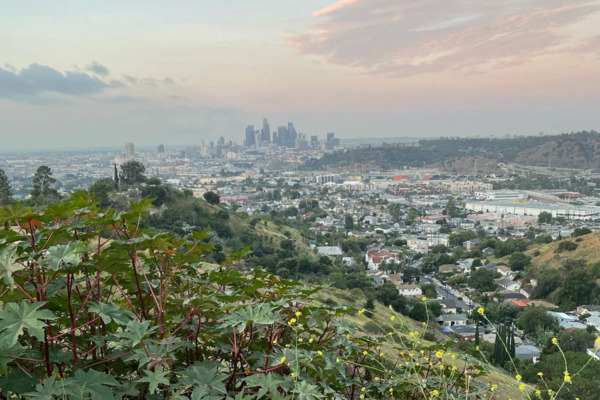1BR rental in Los Angeles — Modern Studio w/ All New Appliances | Modern Designer Cabinetry, Quartz Countertops, Stainless Steel Appliances, Refrigerator, Range w/ Oven, Microwave | Open Kitchen Space Layout